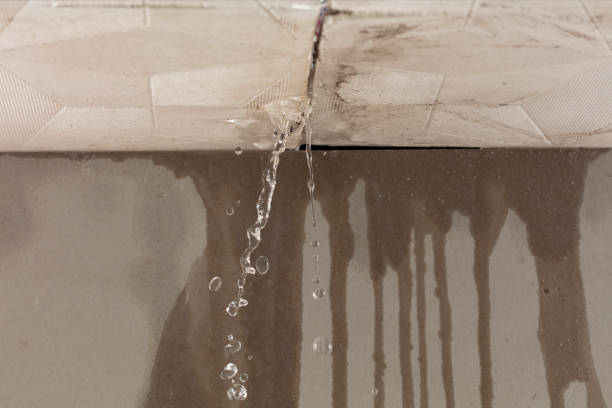 Professional Flood Damage Cleanup technician working in Tipton, IN
